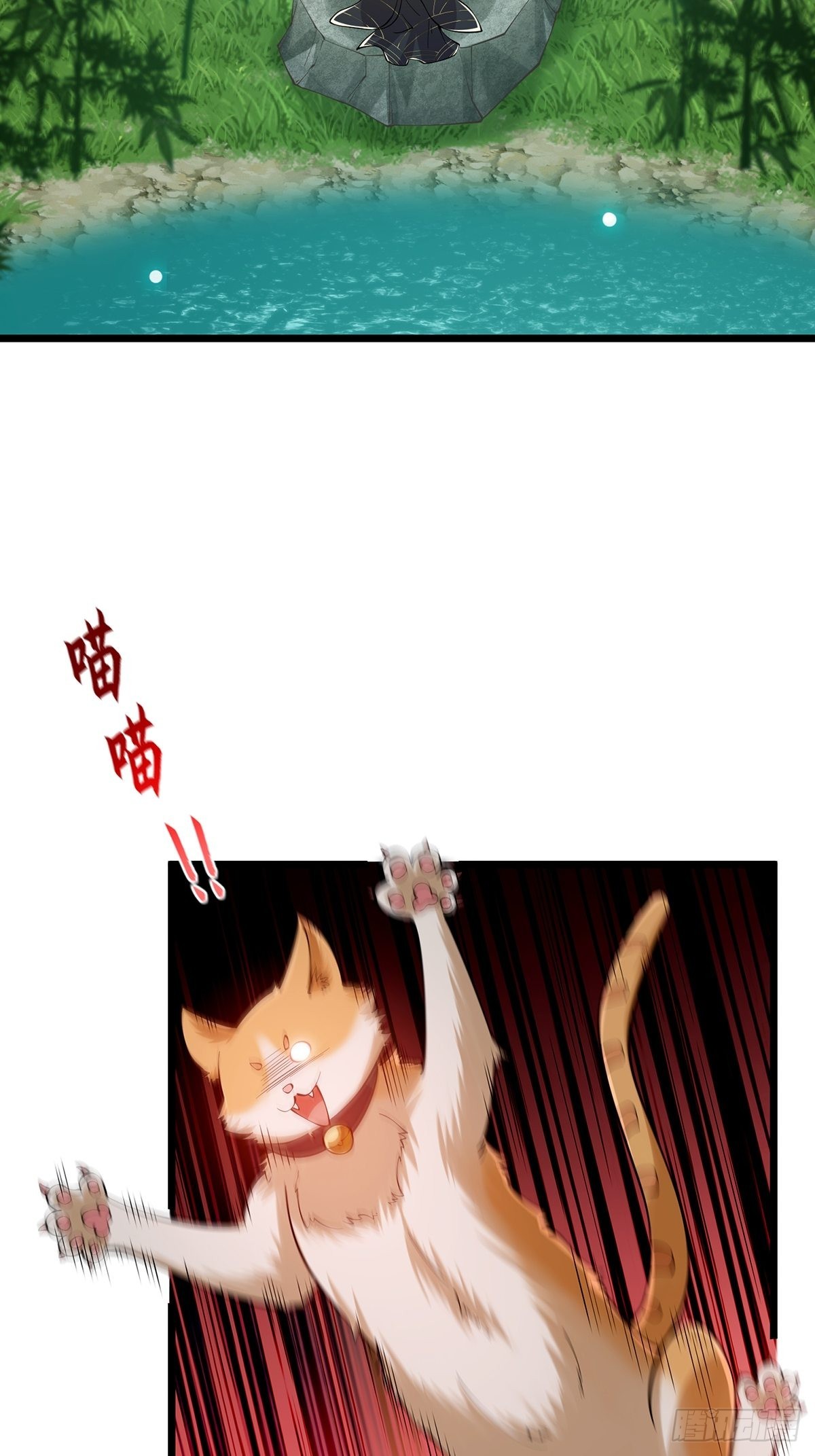 017 撸猫真的有毒24
