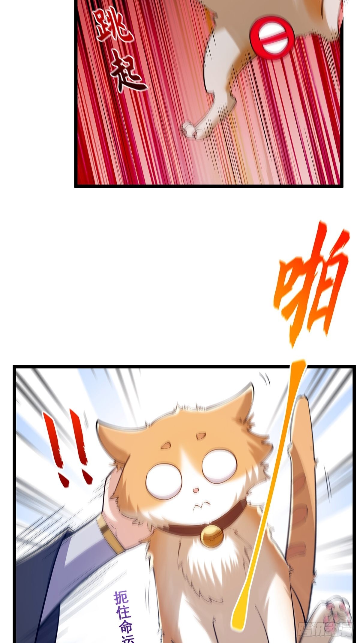 017 撸猫真的有毒25
