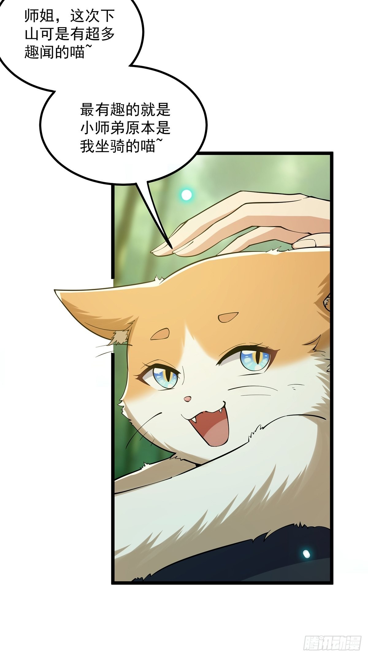 017 撸猫真的有毒29