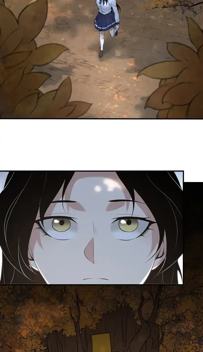 147 无罪谋杀3318