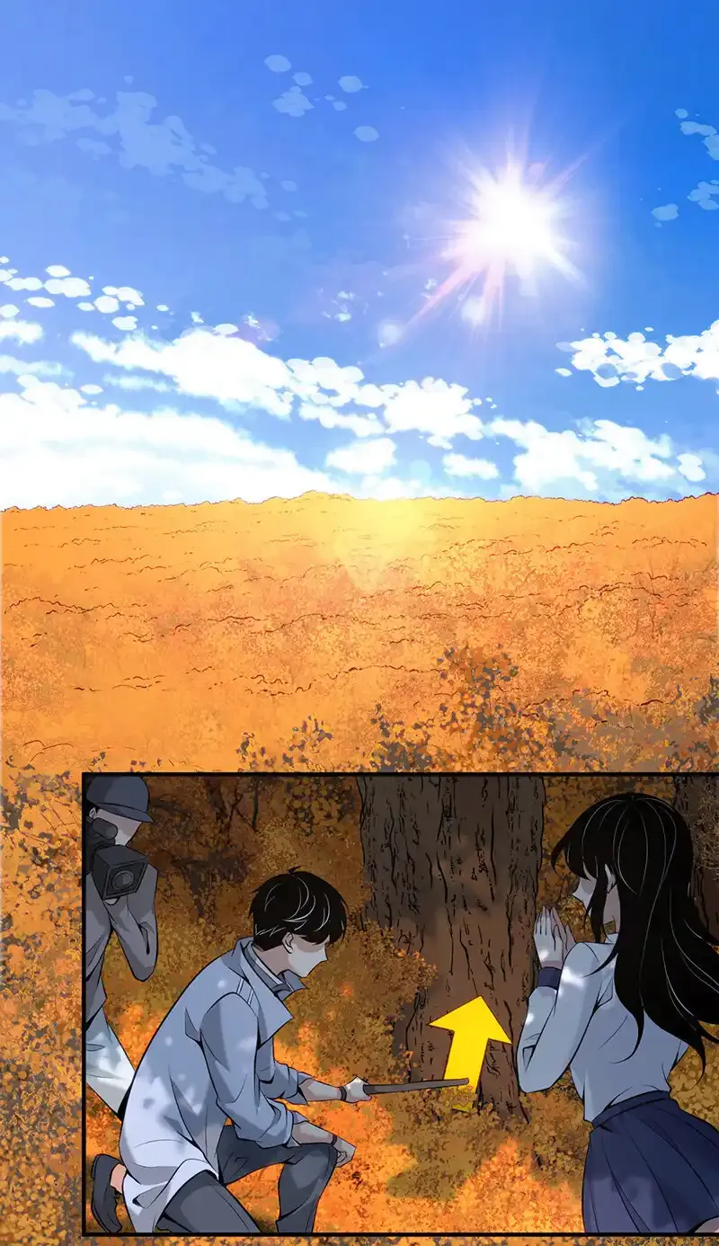 152 无罪谋杀380