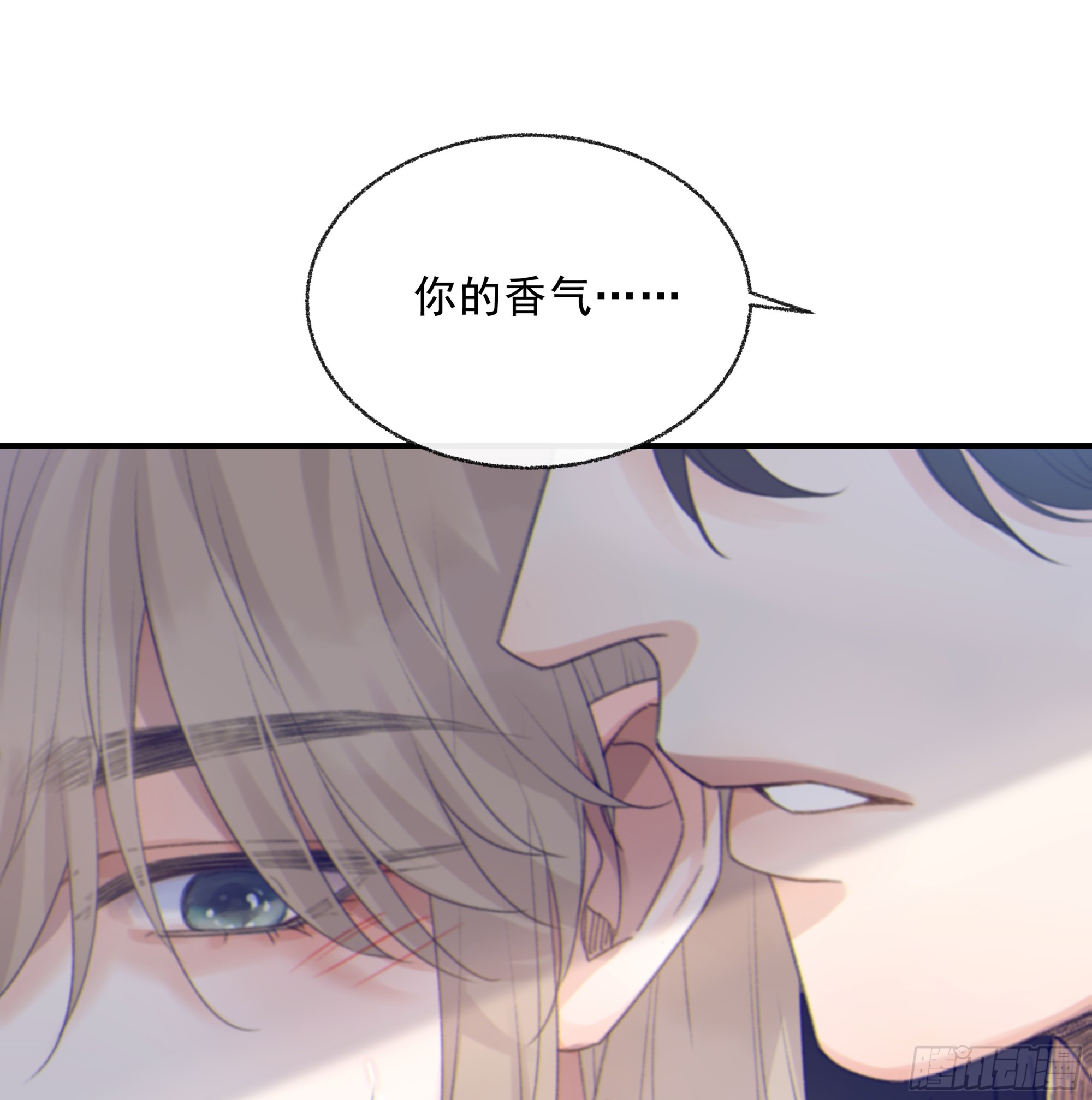 017. 美梦80