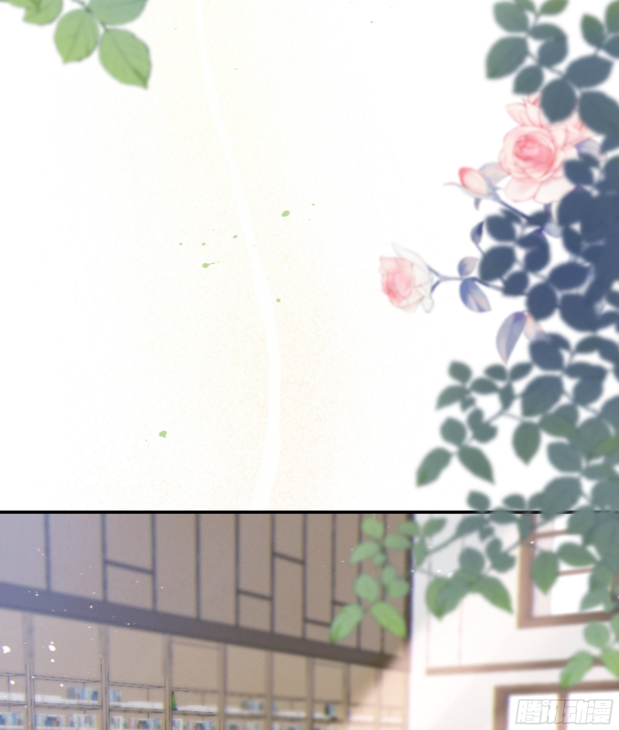 003红色野兽24