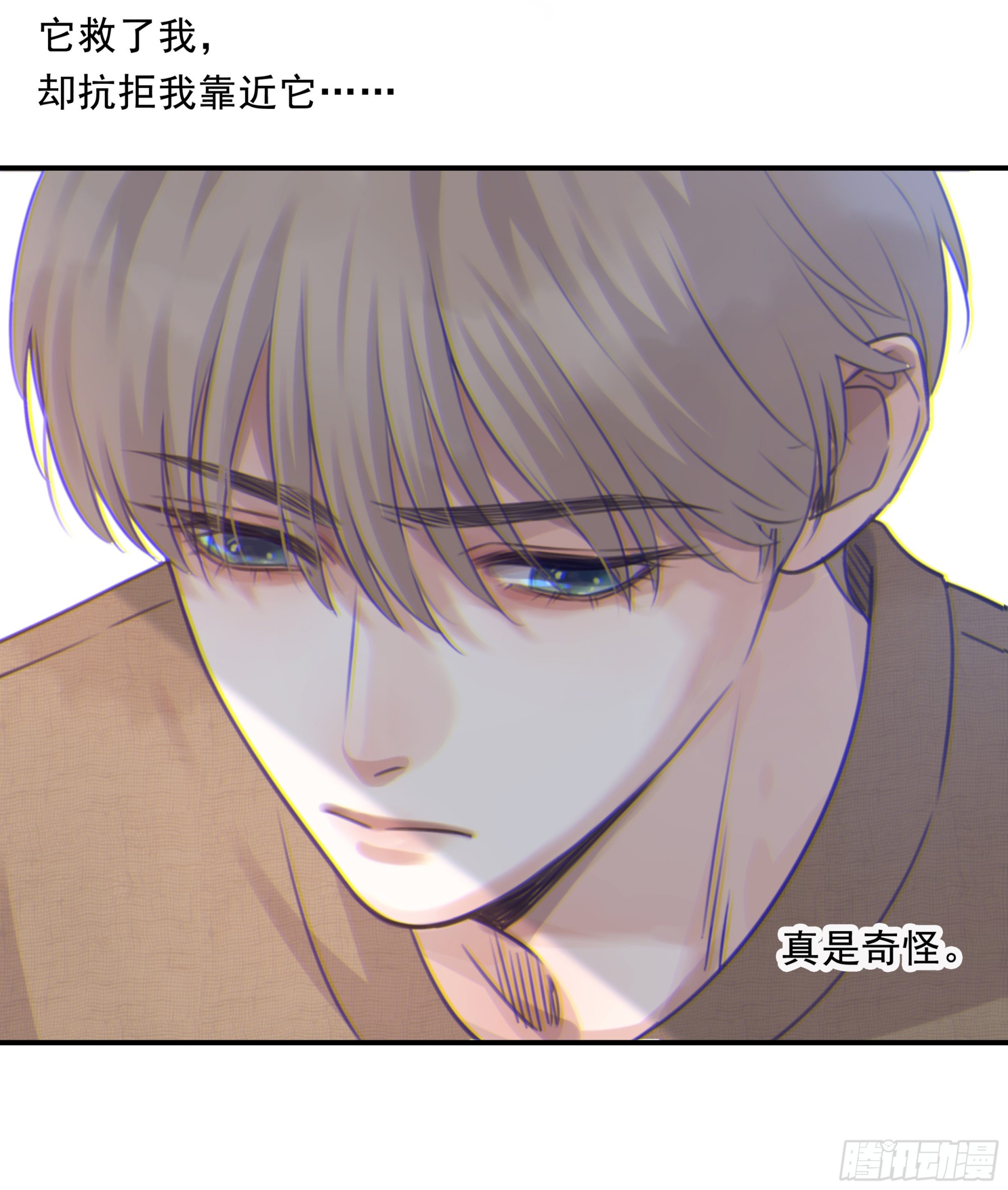 003红色野兽35