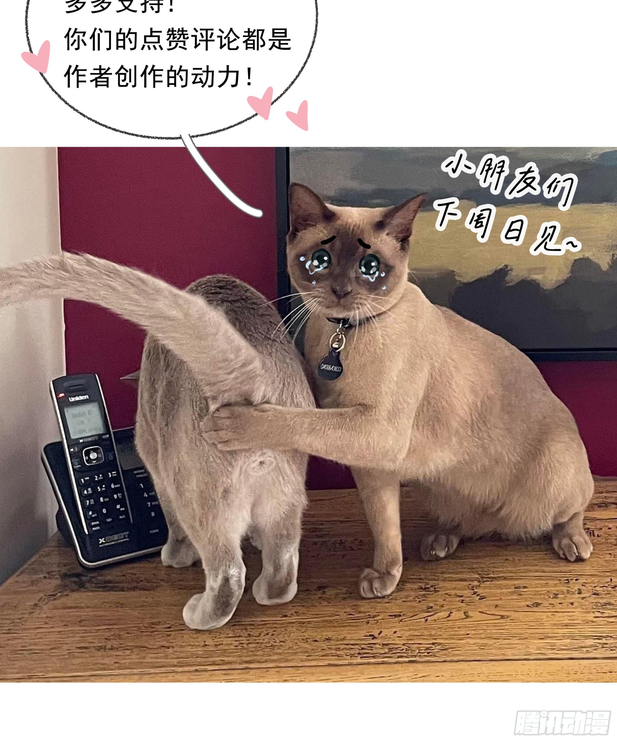 006.他的名字94
