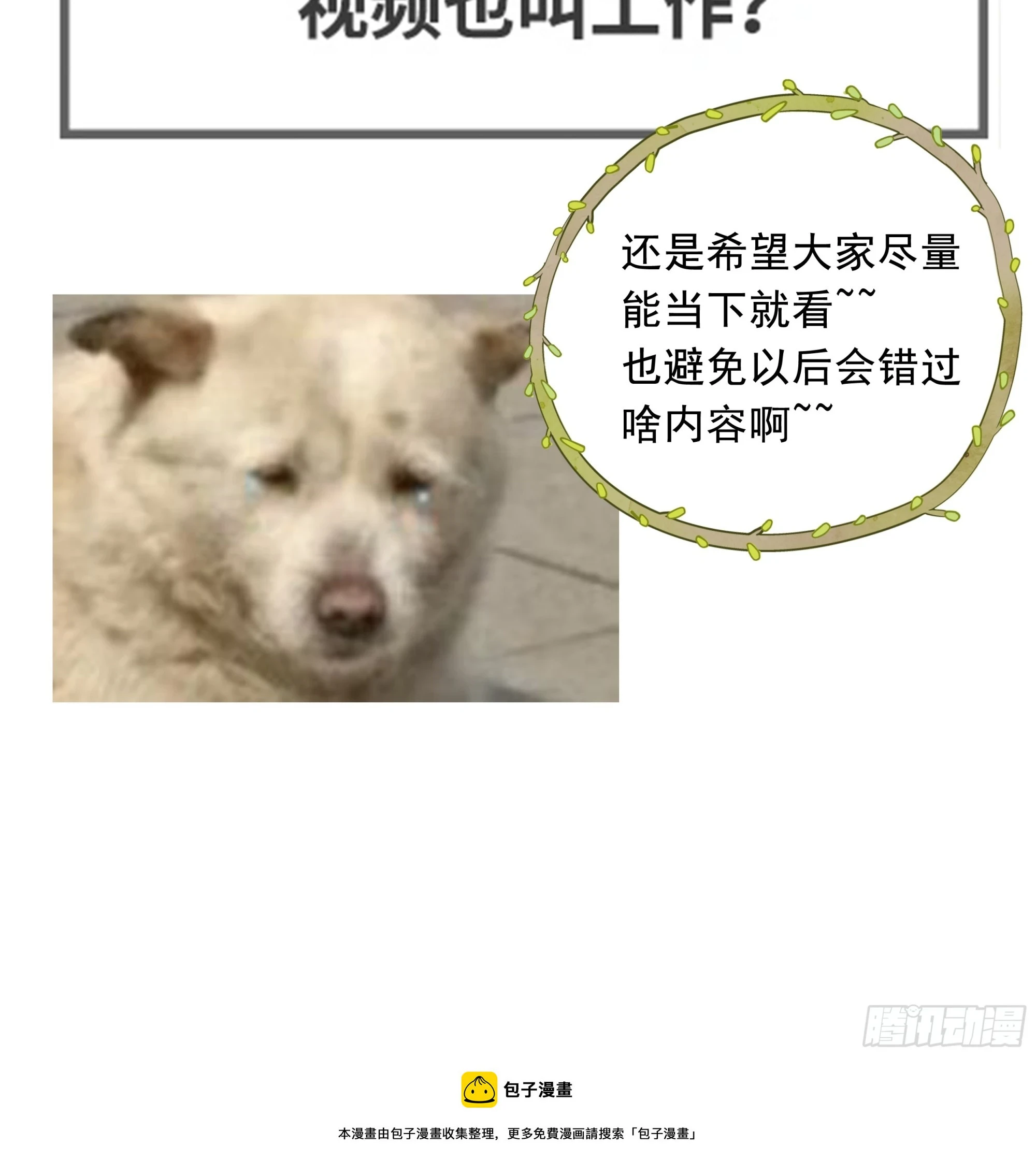 21.特别篇：兔兔游园会26