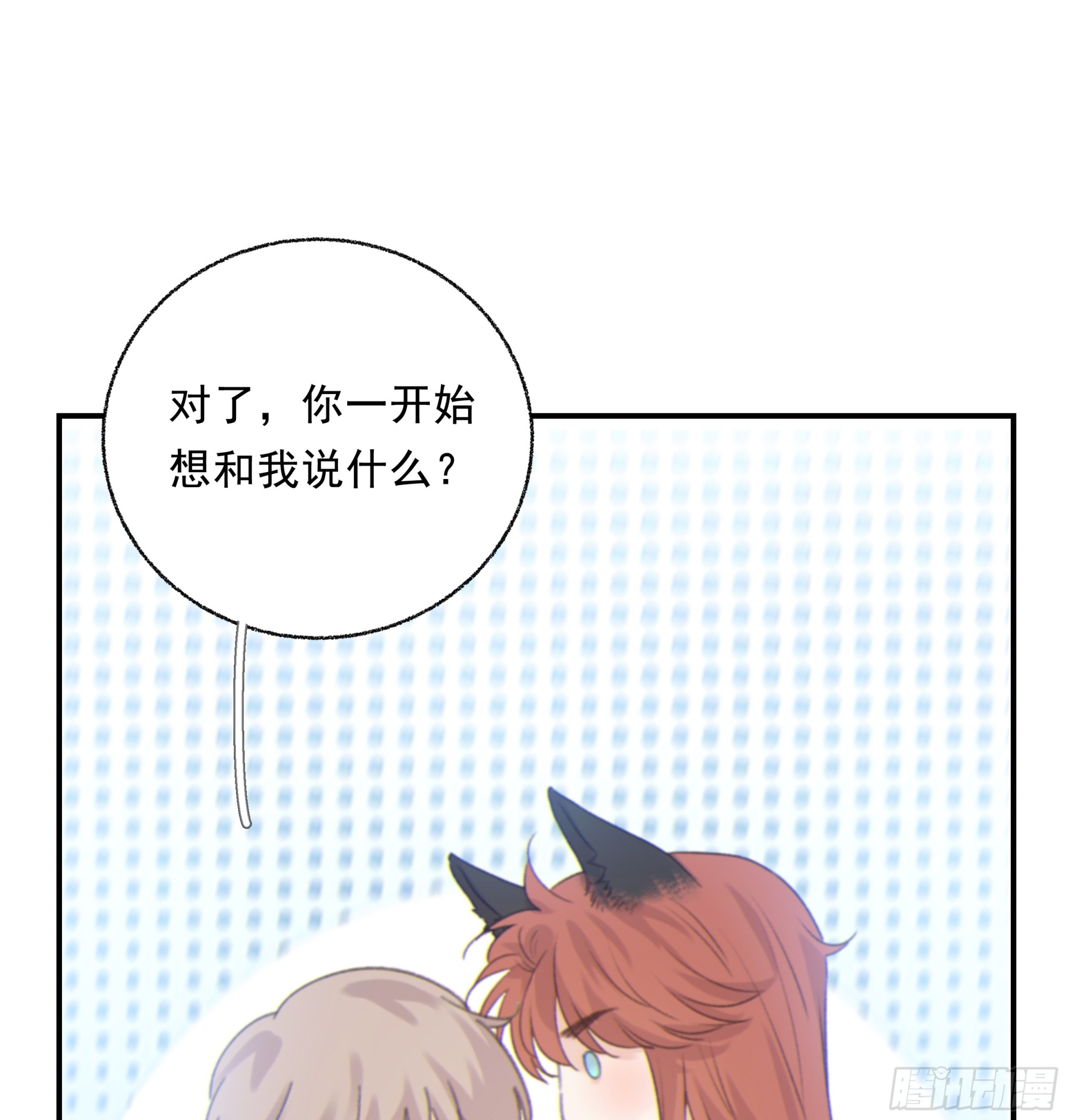 017. 美梦13
