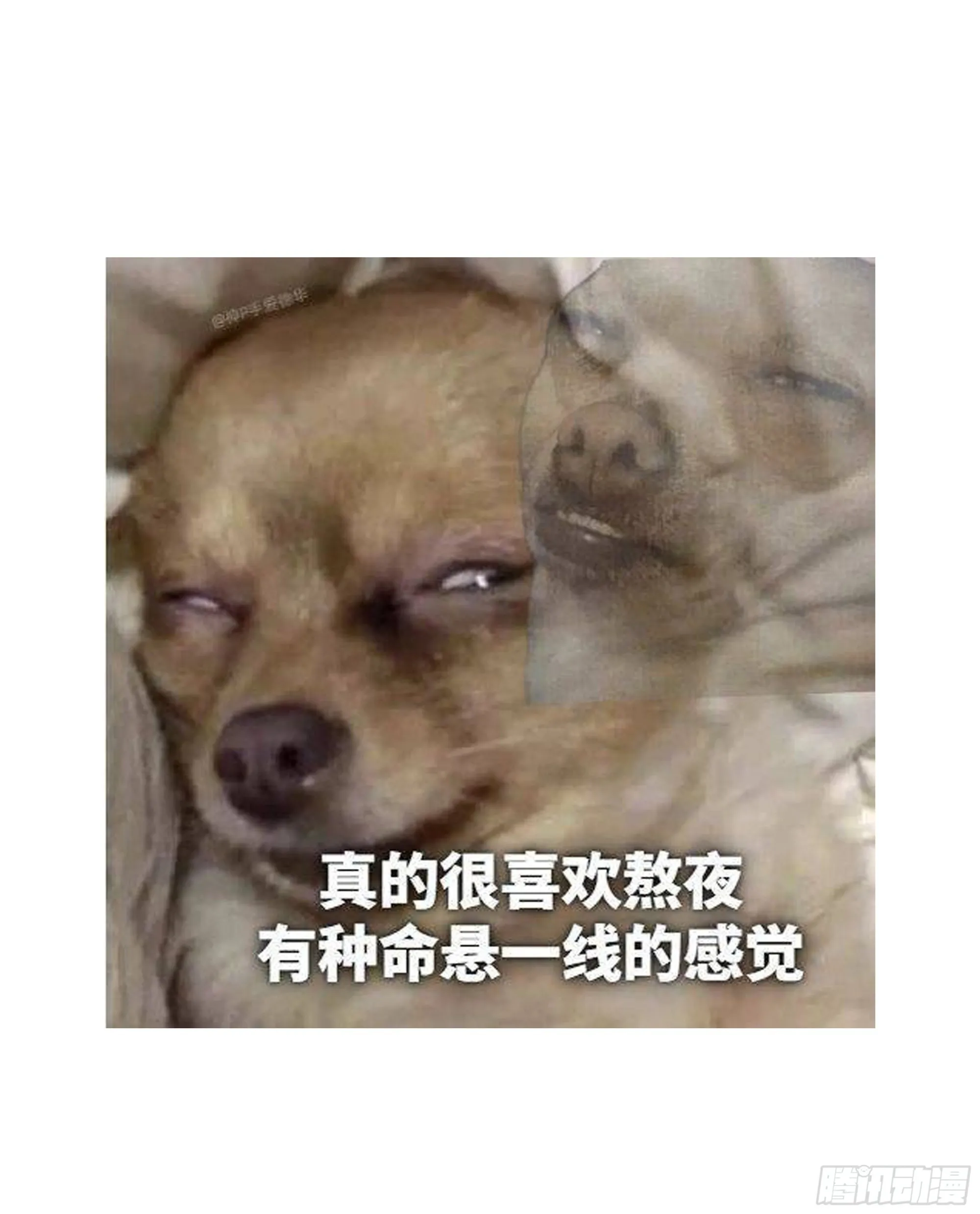 031. 入魔82