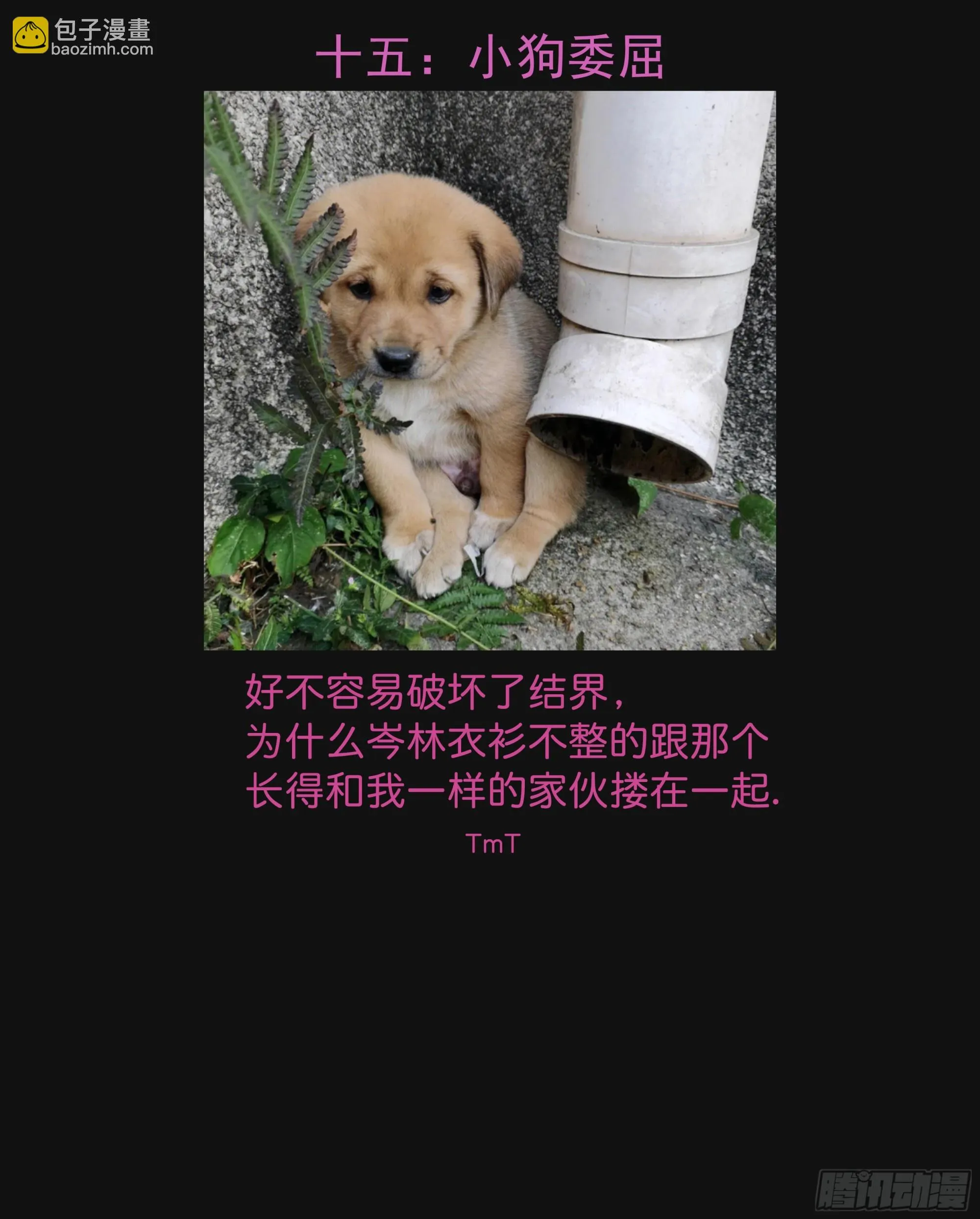 037. “我”……？87