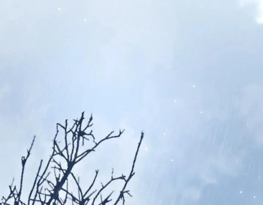 第39话 不应该这样的42