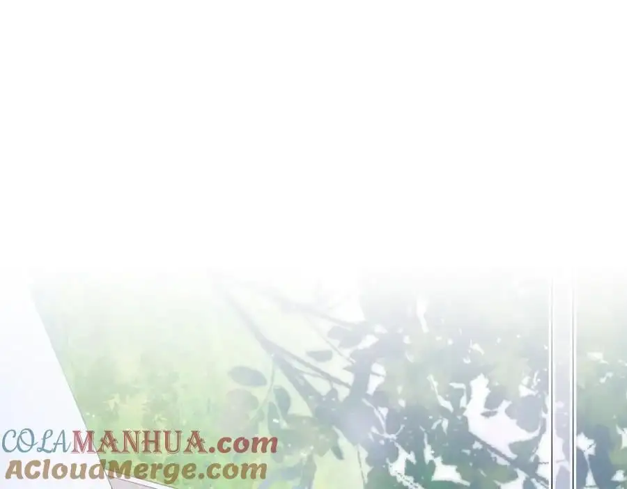 动态漫上线福利，梦幻婚礼现场4