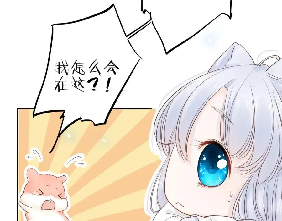 第17话 带我走9