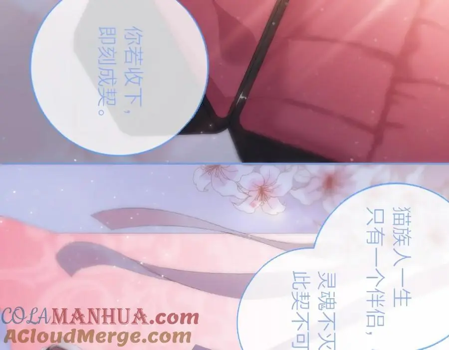 动态漫上线福利，梦幻婚礼现场22