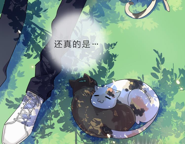 第1话 邂逅94