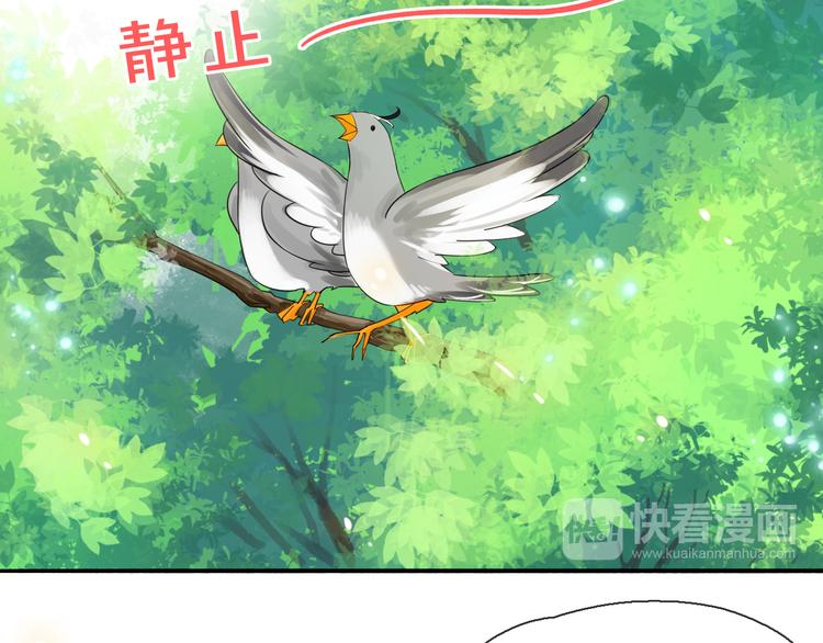 第2话 你不认识我了？67