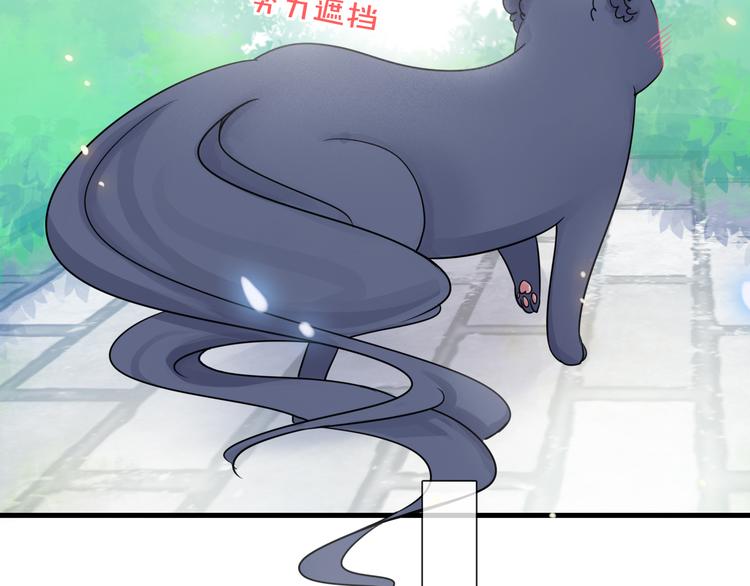 第3话 变成猫？！105