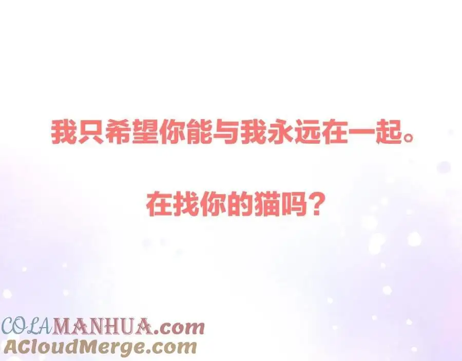 动态漫上线福利，梦幻婚礼现场40