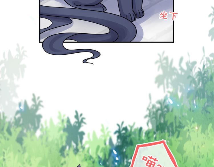 第3话 变成猫？！81