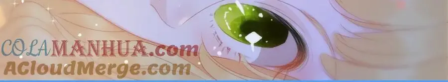 动态漫上线福利，梦幻婚礼现场30