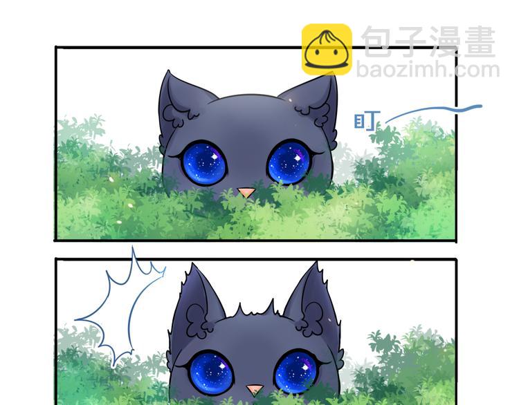 第3话 变成猫？！76