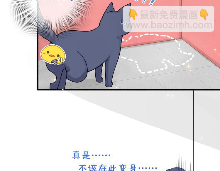 第3话 变成猫？！117