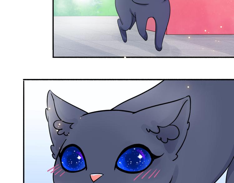 第3话 变成猫？！114