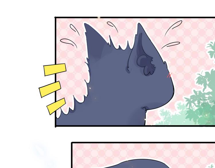 第3话 变成猫？！103