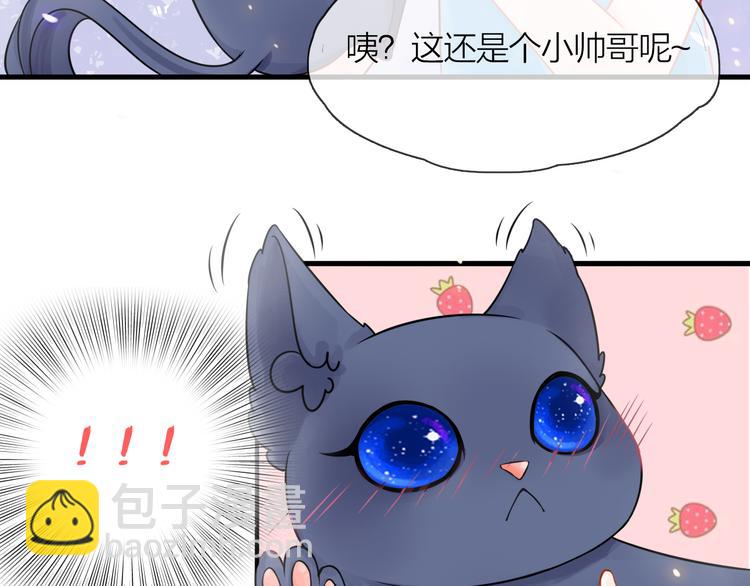 第3话 变成猫？！97