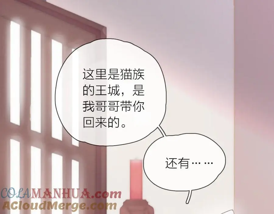 第17话 带我走12