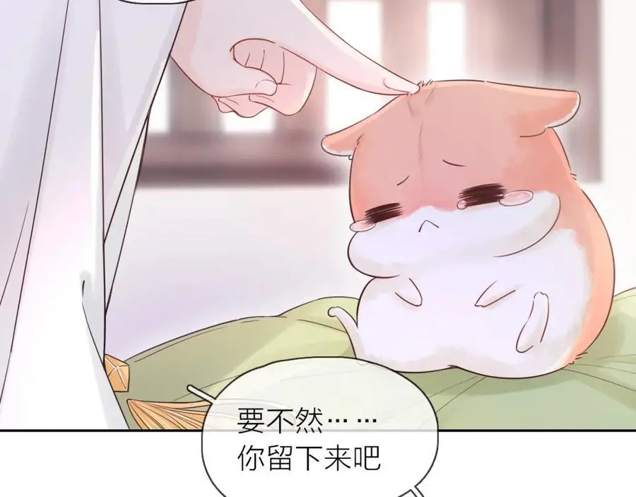 第17话 带我走29