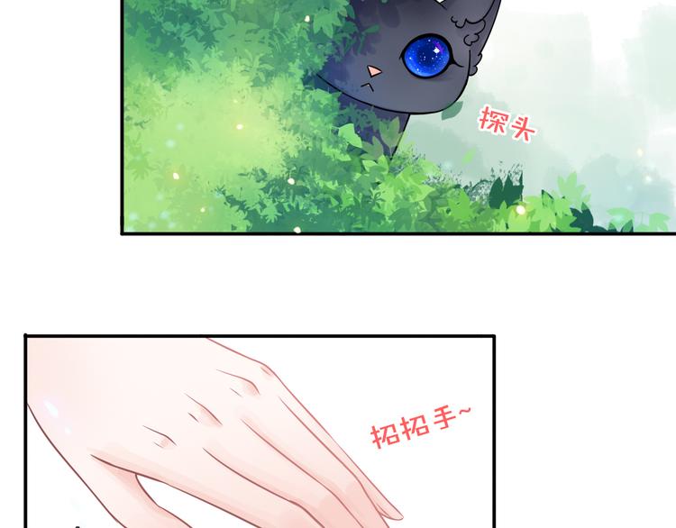 第3话 变成猫？！79
