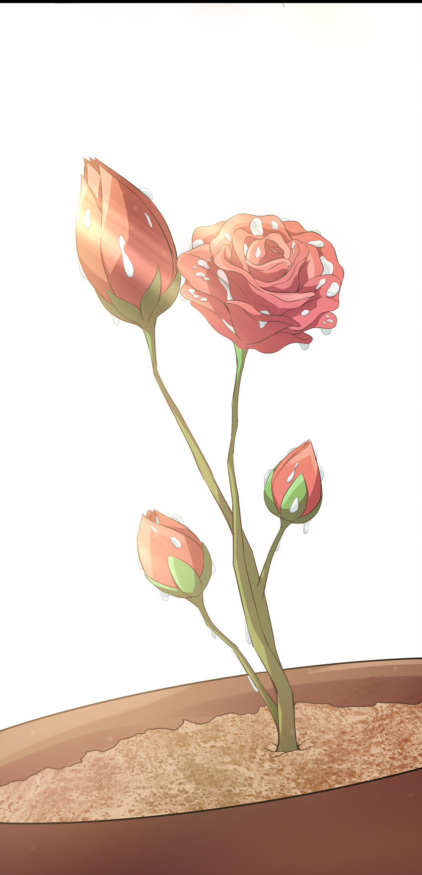 8 伊丽莎白·普兰特（下）92