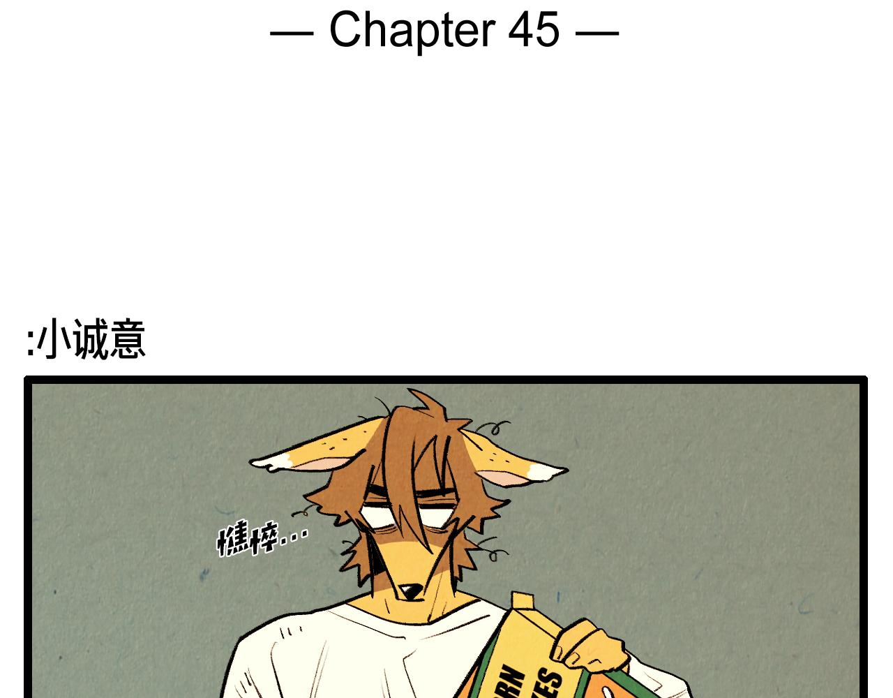 第45话 奇妙的缘分1