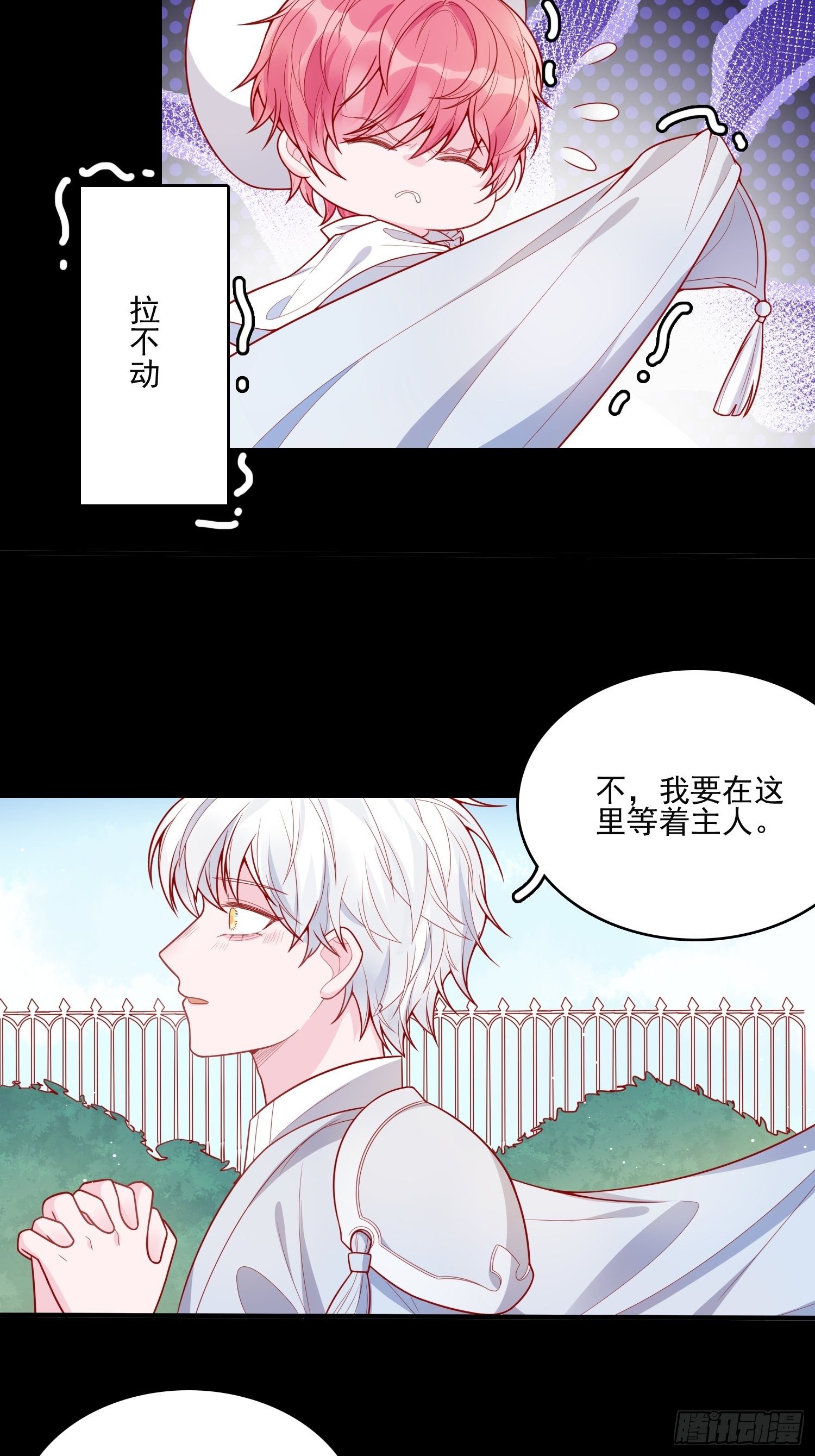 第二十六话 团宠的小苦恼22