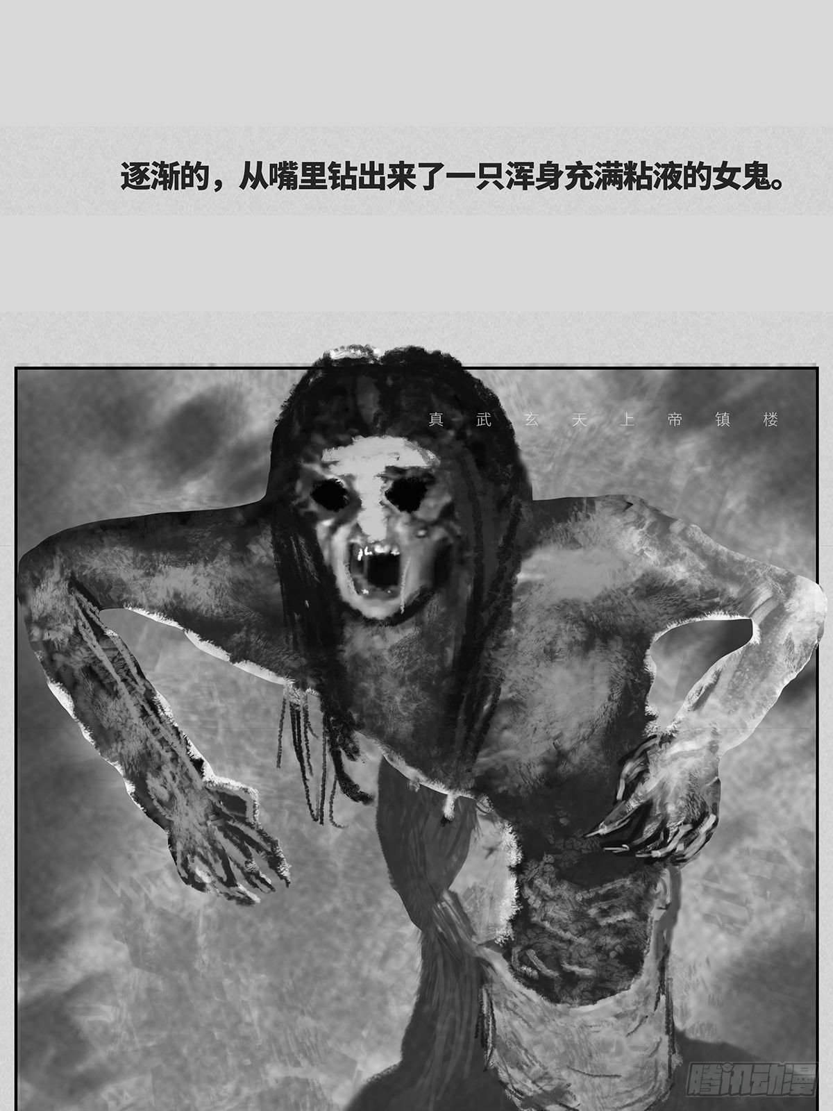 照片4