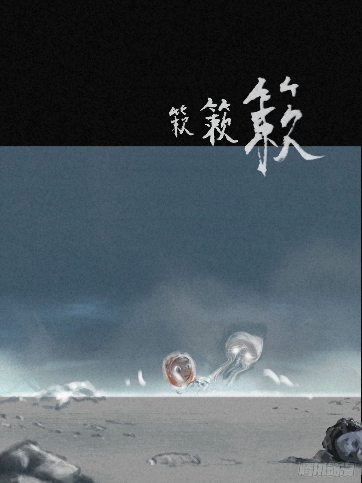 寄居蟹8