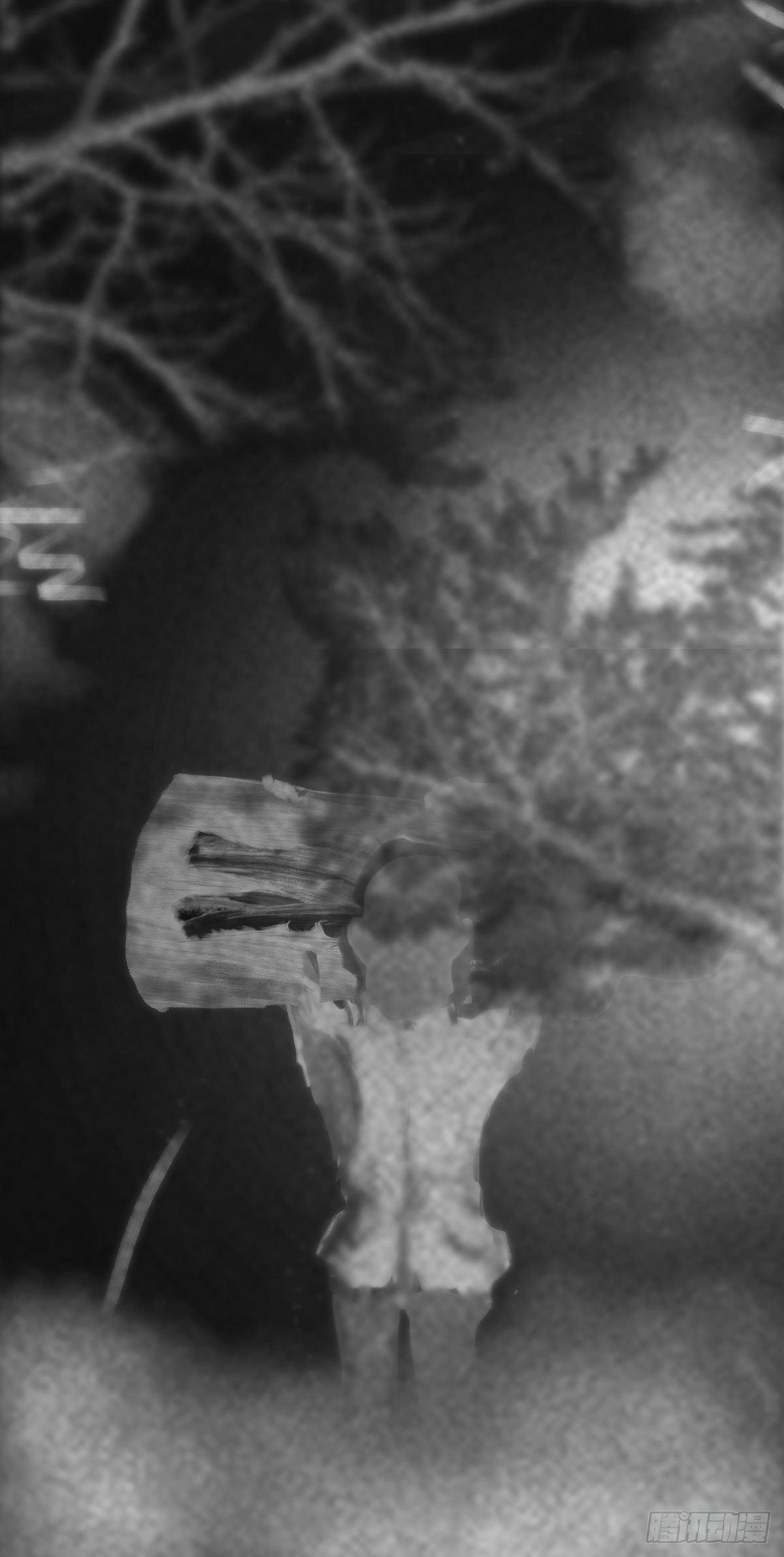 木头(一)8