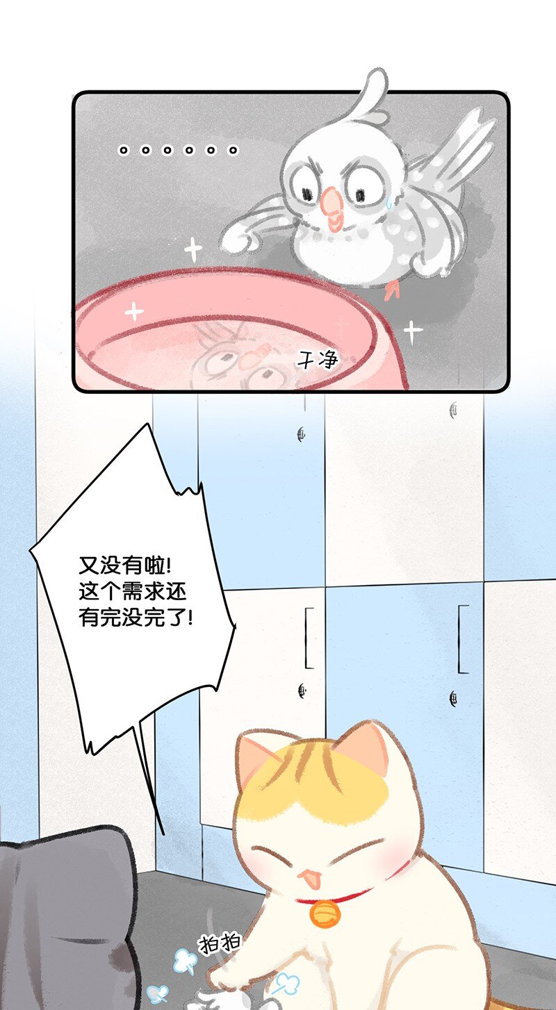 26 喵高管们的新年愿望？21