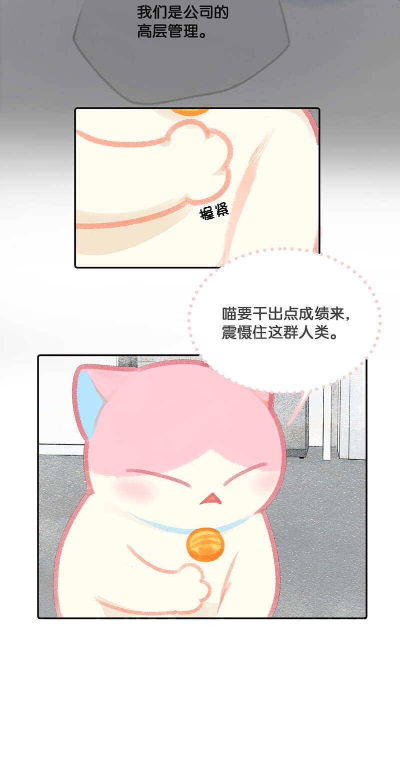 11 新员工入职第一天17