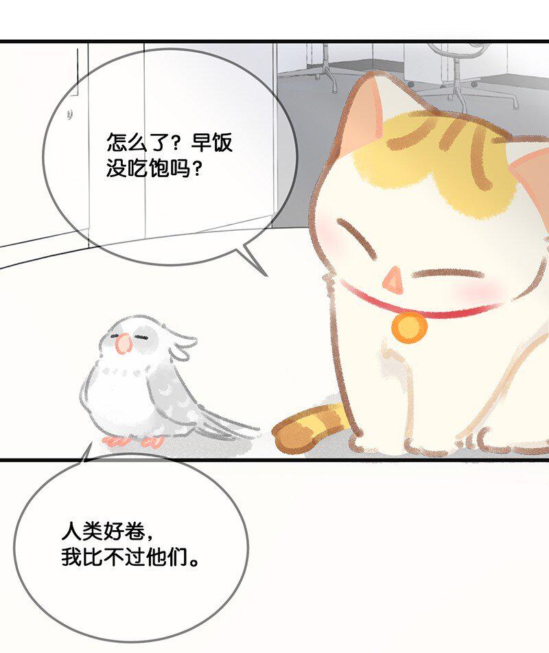32 橘总对职场菜鸟的暖心鼓励3