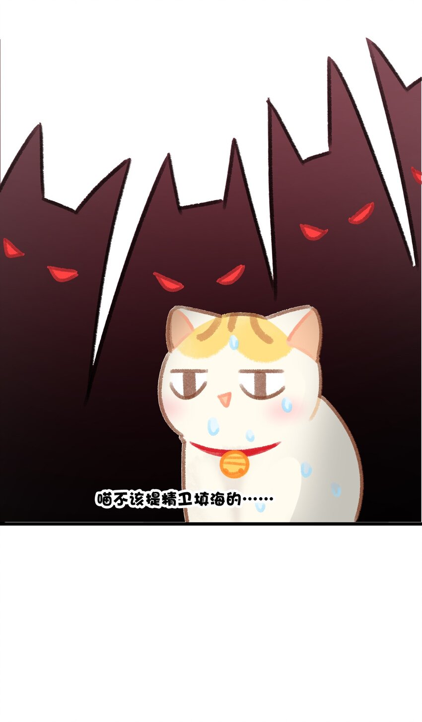 28 职场导师锅包又带出来的职场新猫！19