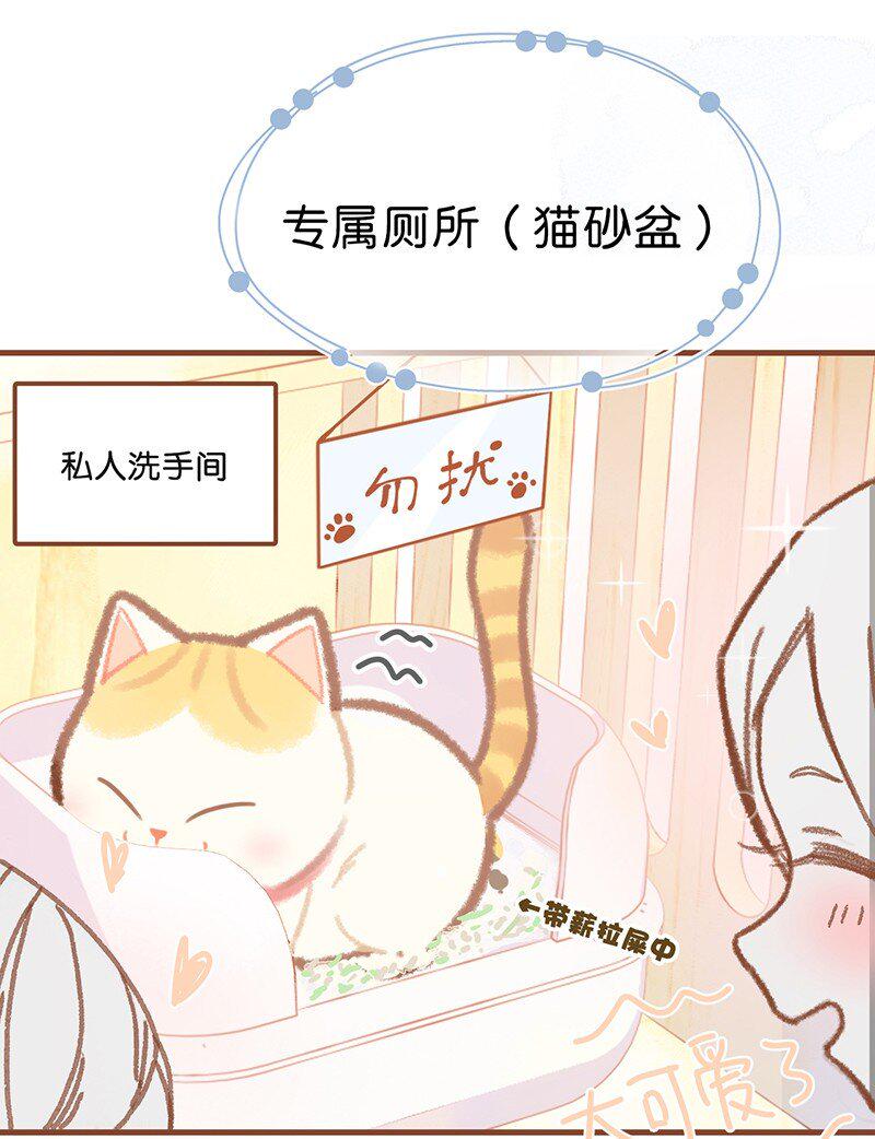 楔子 喵？2