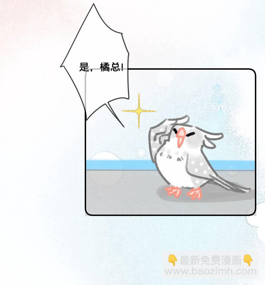 28 职场导师锅包又带出来的职场新猫！7