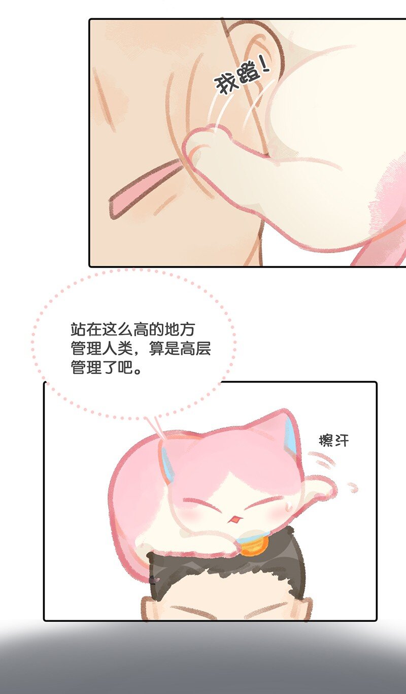 11 新员工入职第一天19