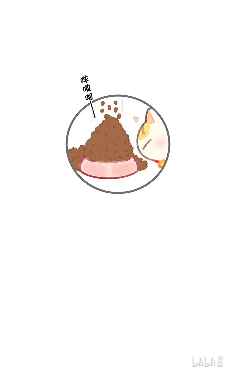 26 喵高管们的新年愿望？27