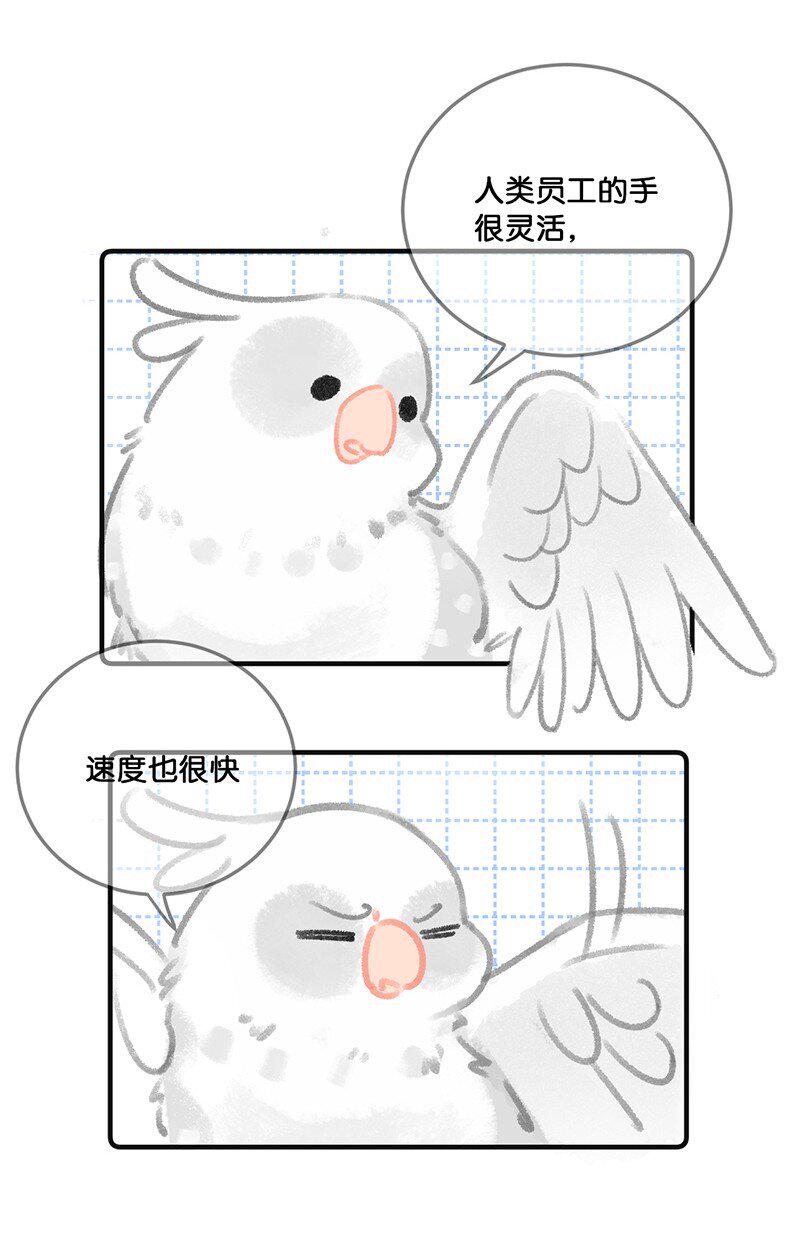 32 橘总对职场菜鸟的暖心鼓励5