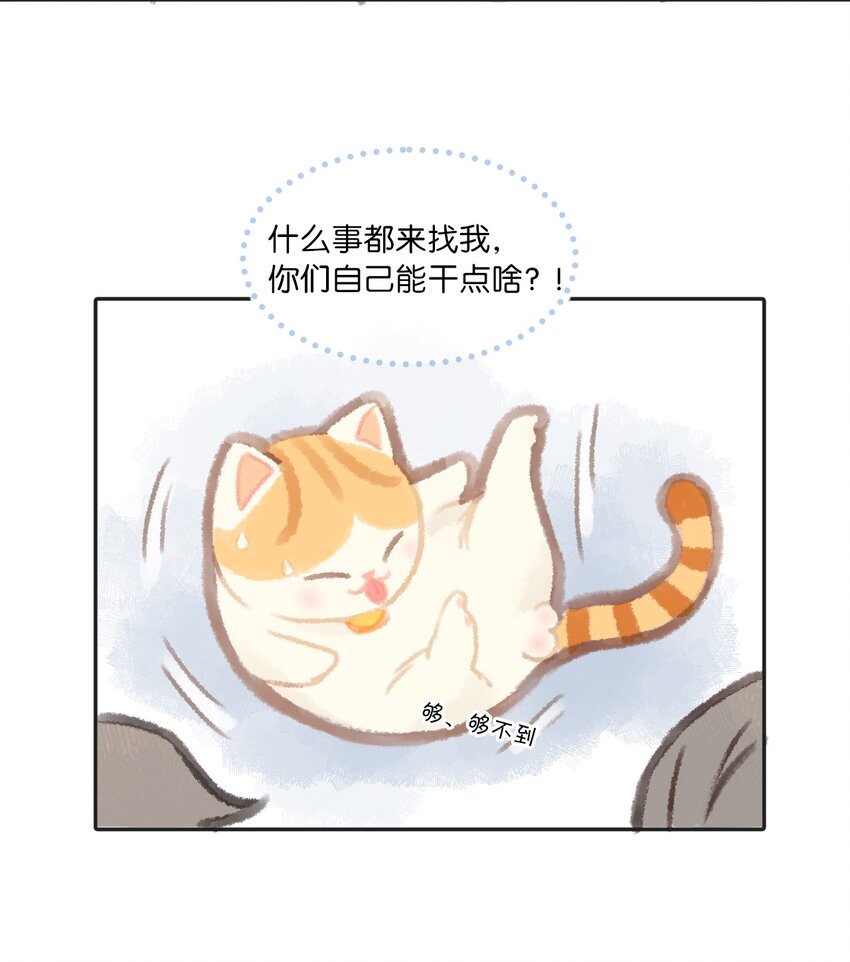 02 高管喵的日常10