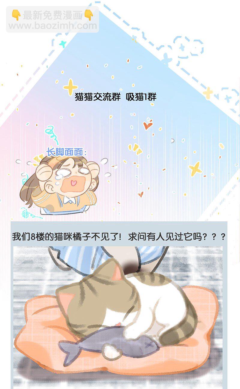 17 大橘和它双双失踪？！原因竟是……3