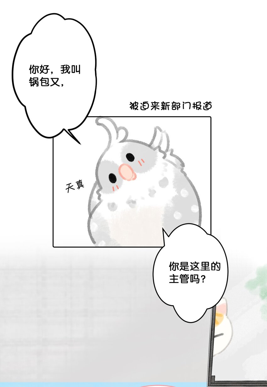 24 新员工在橘总头上拉屎？！15