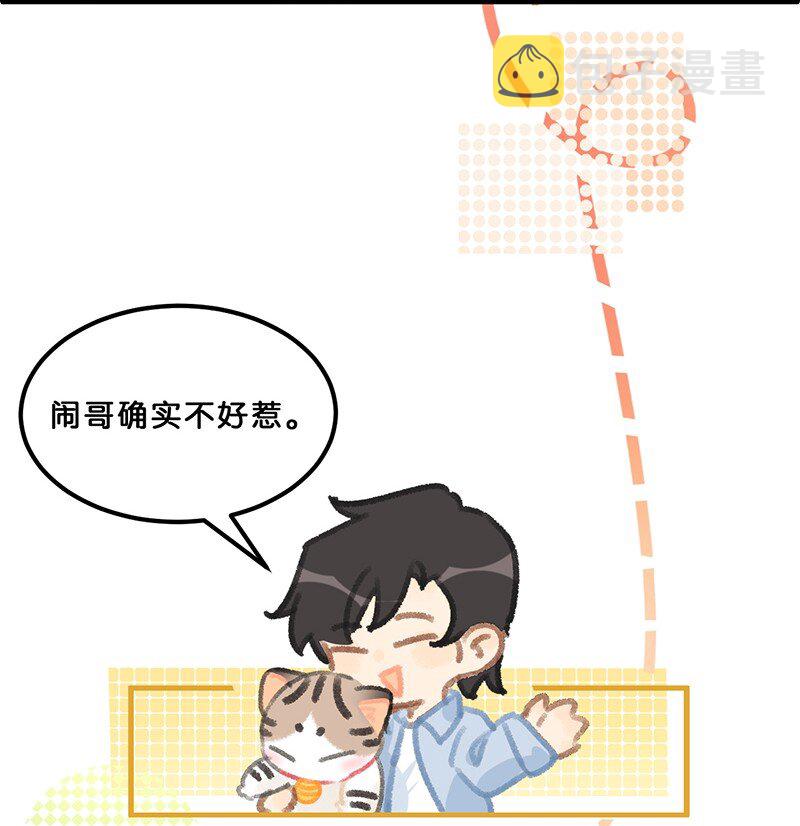 39 喵爪开花的办法！16